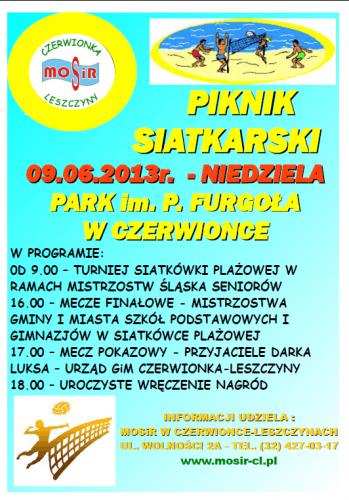 Piknik Siatkarski - Palowice.NET 2013